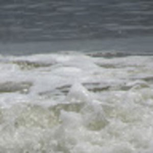 Meet your Posher, Turtle